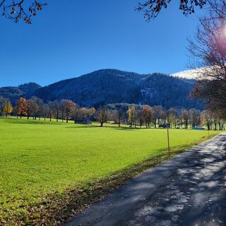 Blick zur Neureuth
