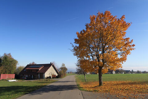 Herbst im Hotzenwald