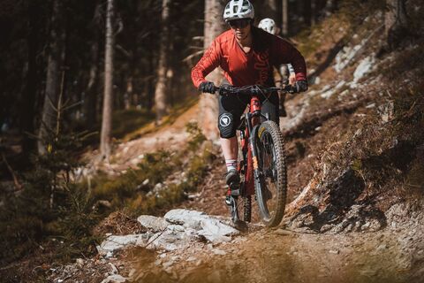 Mountainbiken auf dem Buckelwald Trail