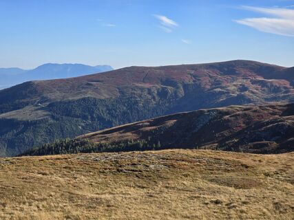 Fotografia z TwilightTea na trase