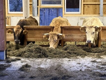 Foto von Natur_erleben_dg entlang der Tour