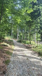 Photo de Fuchs Irene le long du parcours