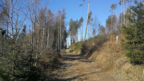 Wanderung rund um Burglemnitz