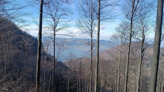 Fotografija s spletne strani Friederike Bergmeister na poti