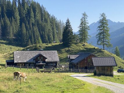 Foto von Ursula Müller 1 entlang der Tour
