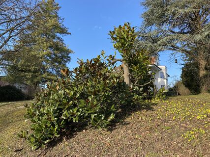 Foto von Cord Schill entlang der Tour