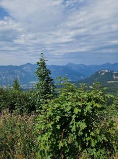 Photo de Pernkopf le long du parcours
