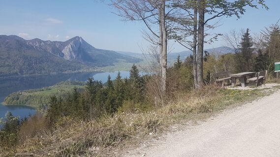 5.7 km Rastplatz mit Mondseeblick