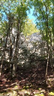 Foto von Manni 2 entlang der Tour