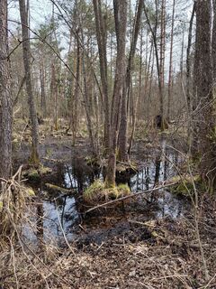 Foto von Albin1958 entlang der Tour