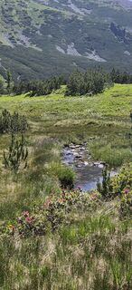 Photo de Doris Falk le long du parcours