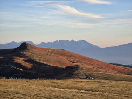 Fotografia z TwilightTea na trase