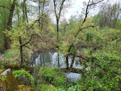 Foto fra yolanda beck underveis på turen