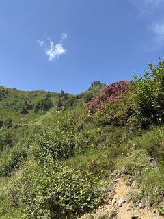 Foto von Takashi Araki entlang der Tour