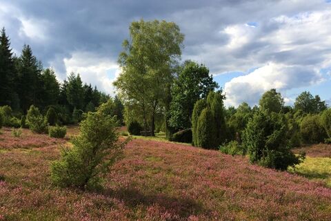 Ellerndorfer Wacholderheide