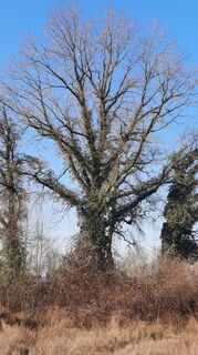 Photo de Enkidu55 le long du parcours