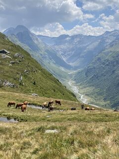 Foto von Annalena Dietrich entlang der Tour