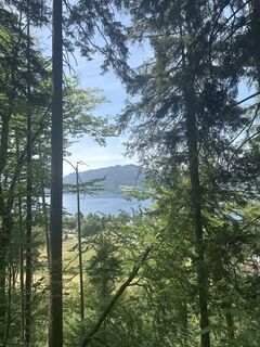 Foto von Ali Wafaii entlang der Tour