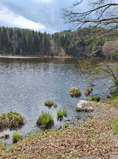 Foto da Dagmar Hofer lungo il tour