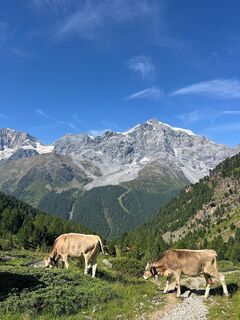 Foto von Colin Bowser entlang der Tour