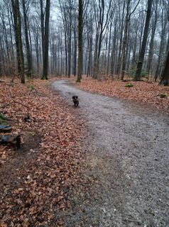 Foto von Brenda Kroesbergen entlang der Tour