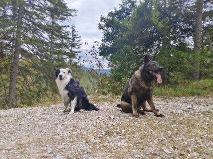 Foto da Petra S. lungo il tour