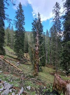 Fotografie z Christian Lerchster na trase
