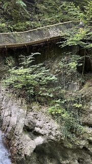 Foto von Guidog entlang der Tour
