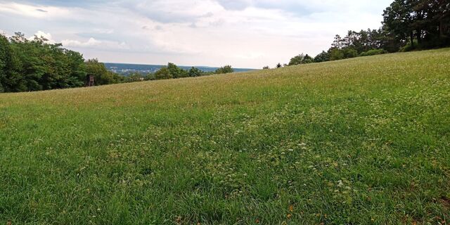 Zdjęcie z Bergpirat wzdłuż trasy