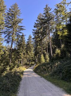 Foto von Heinz Sperl entlang der Tour