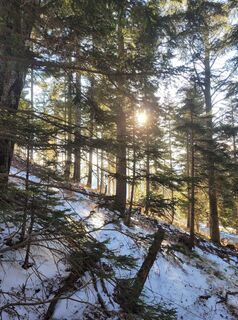 Photo de Anita Stadtherr le long du parcours