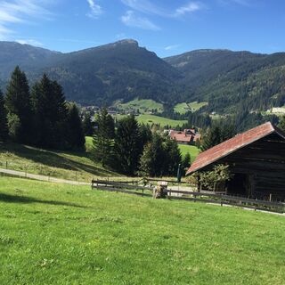 Vom Söllereck nach Riezlern