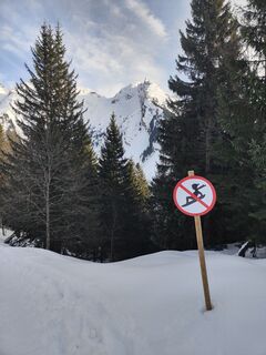 Zdjęcie z tmochel wzdłuż trasy