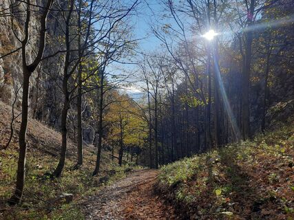 Фото с сайта Artemis83 во время экскурсии