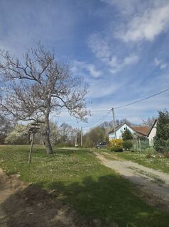 Photo de Darija Forgač le long du parcours