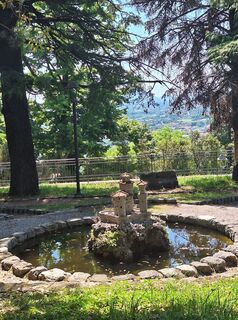 Fotografija s spletne strani Mimi na poti