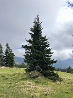Photo de Georg B. Meier le long du parcours