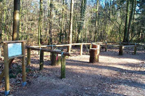 Walderlebnispfad im Reichswald