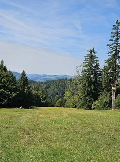 Foto von Elisabeth Wecer entlang der Tour