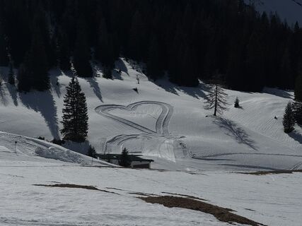 Photo de Sebastiaan De Beer le long du parcours