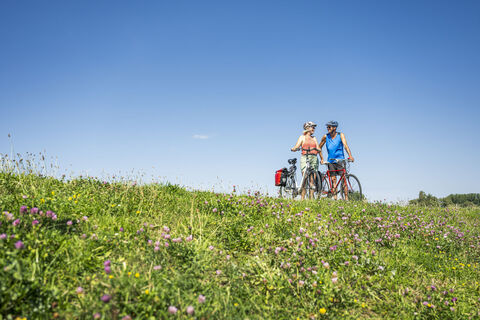 Elberadweg beim Stover Strand Camping