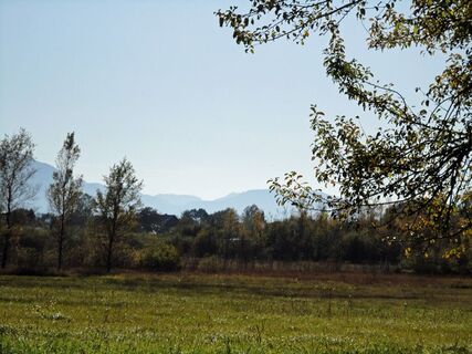 Gerlhamer Moor