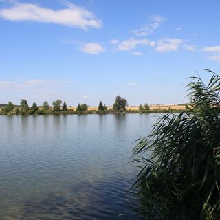 Meiseldorfer Teich