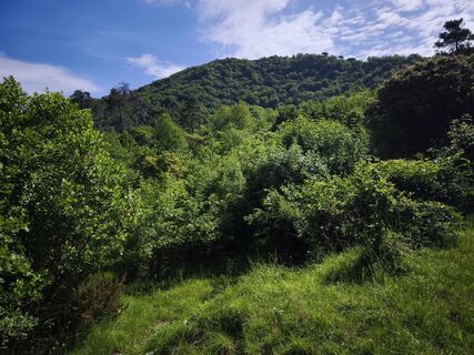 Foto de Stefano Fabi a lo largo del recorrido