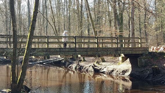 Fotografija s spletne strani callmejo na poti