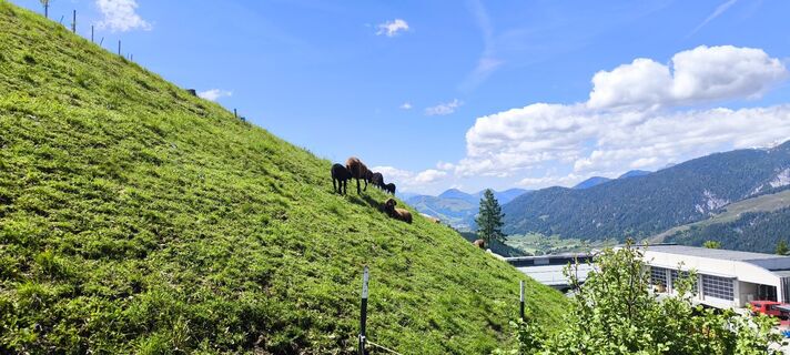Foto fra Markus Fischer undervejs på turen