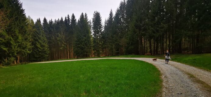 Photo de Klaus Lehner le long du parcours