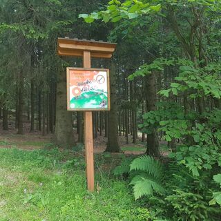 Waldlehrpfad Station in der Oststeiermark