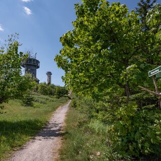 Wanderung zum Schneekopf, Thüringer Wald