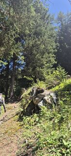 Foto von German Pauls entlang der Tour